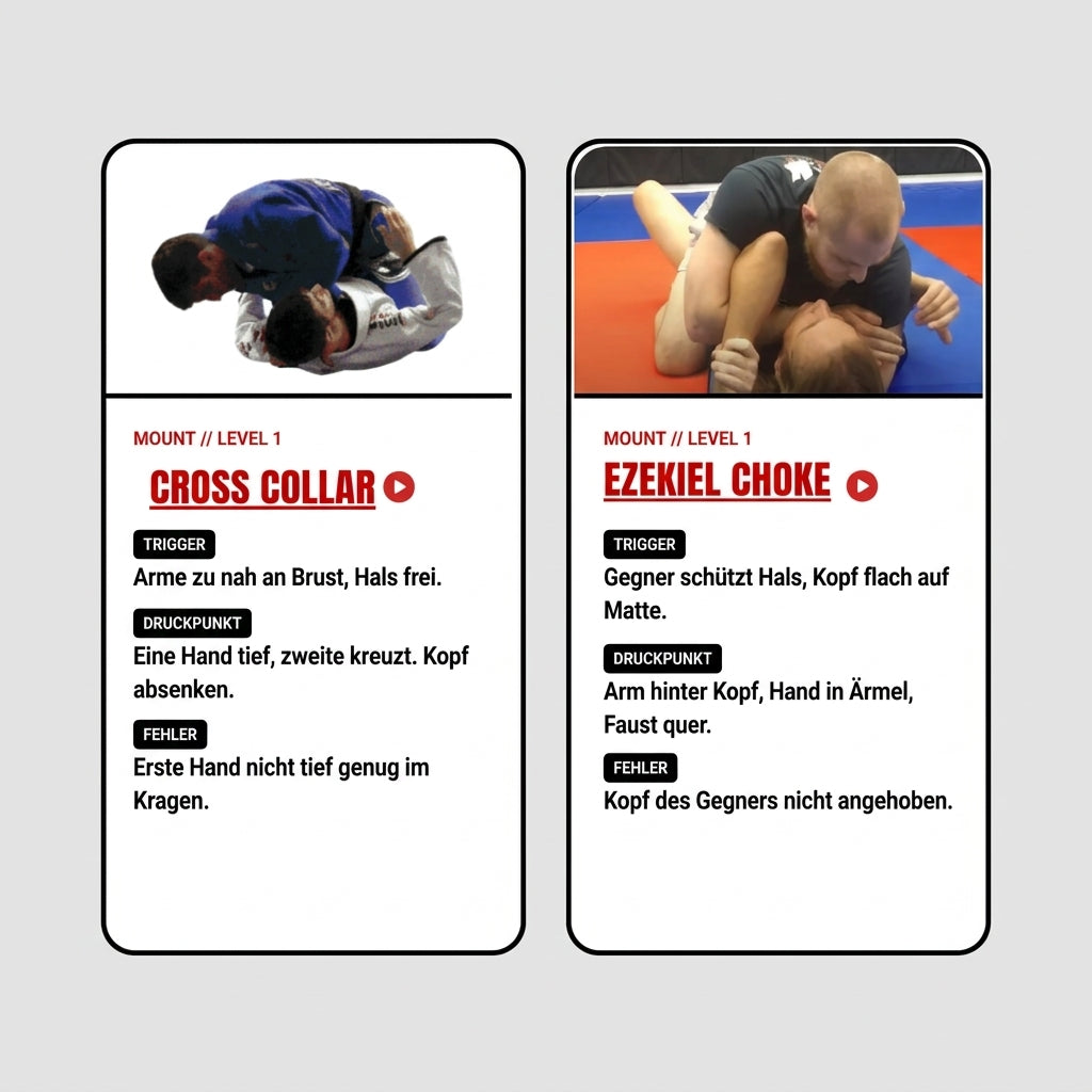 The Ultimate BJJ Submission Matrix – PDF